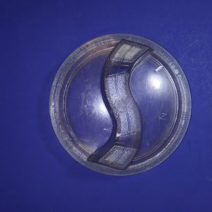 STA-RITE POOL PUMP LID