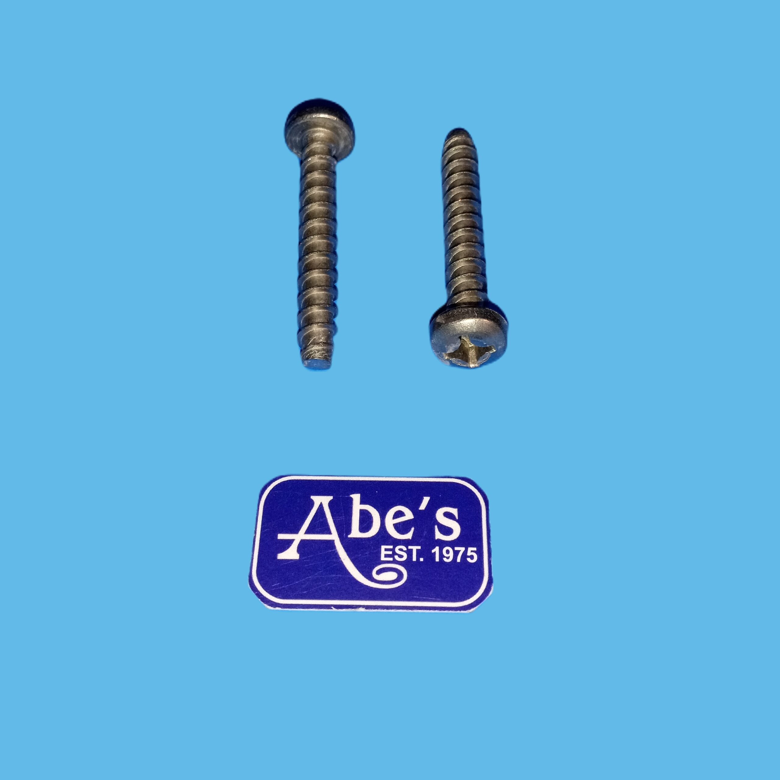 Hayward Screw Replacement for Plastic Sump / WGX1030Z2A / Affordable $ 4.75 / Hard to Find Deck accessories? Find Hard to Find Parts at Abe's Pools & Spas