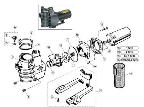 Hayward SPX2800A MaxFlo Pump Strainer Housing Diagram