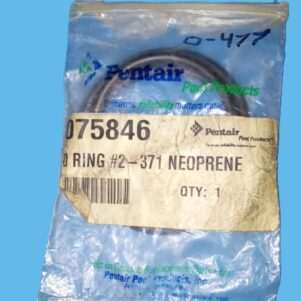 Pentair 075846 Replacement O-Ring Neoprene Seal Plate